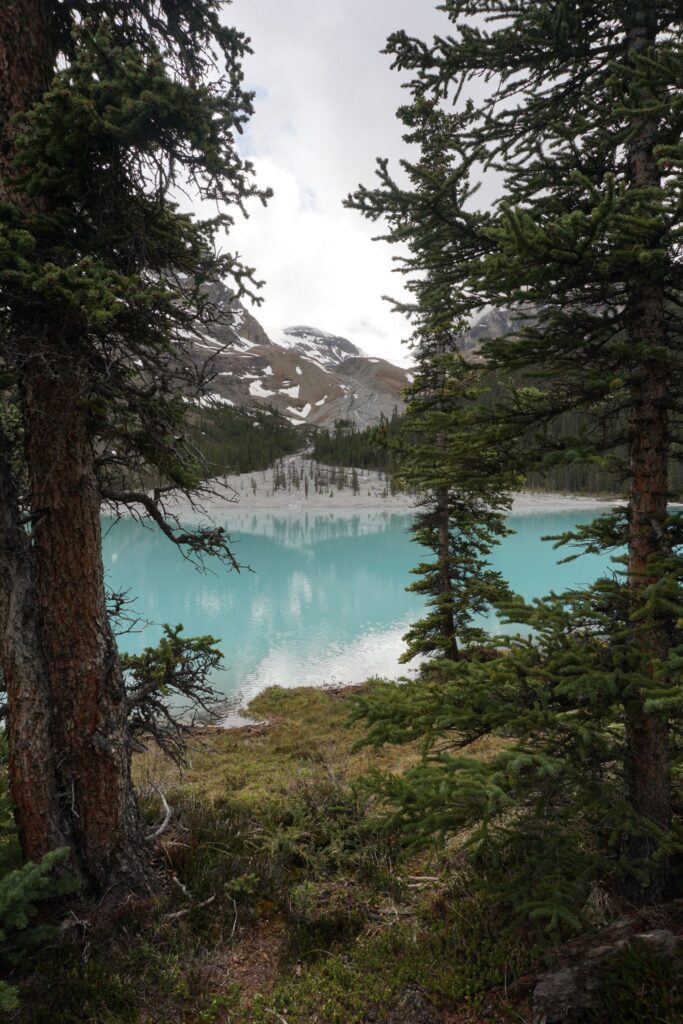 Boundary Lake: Alberta's Most Beautiful Hidden Lake Dsc00896 20250619 095725 00003718628656984660119 683x1024