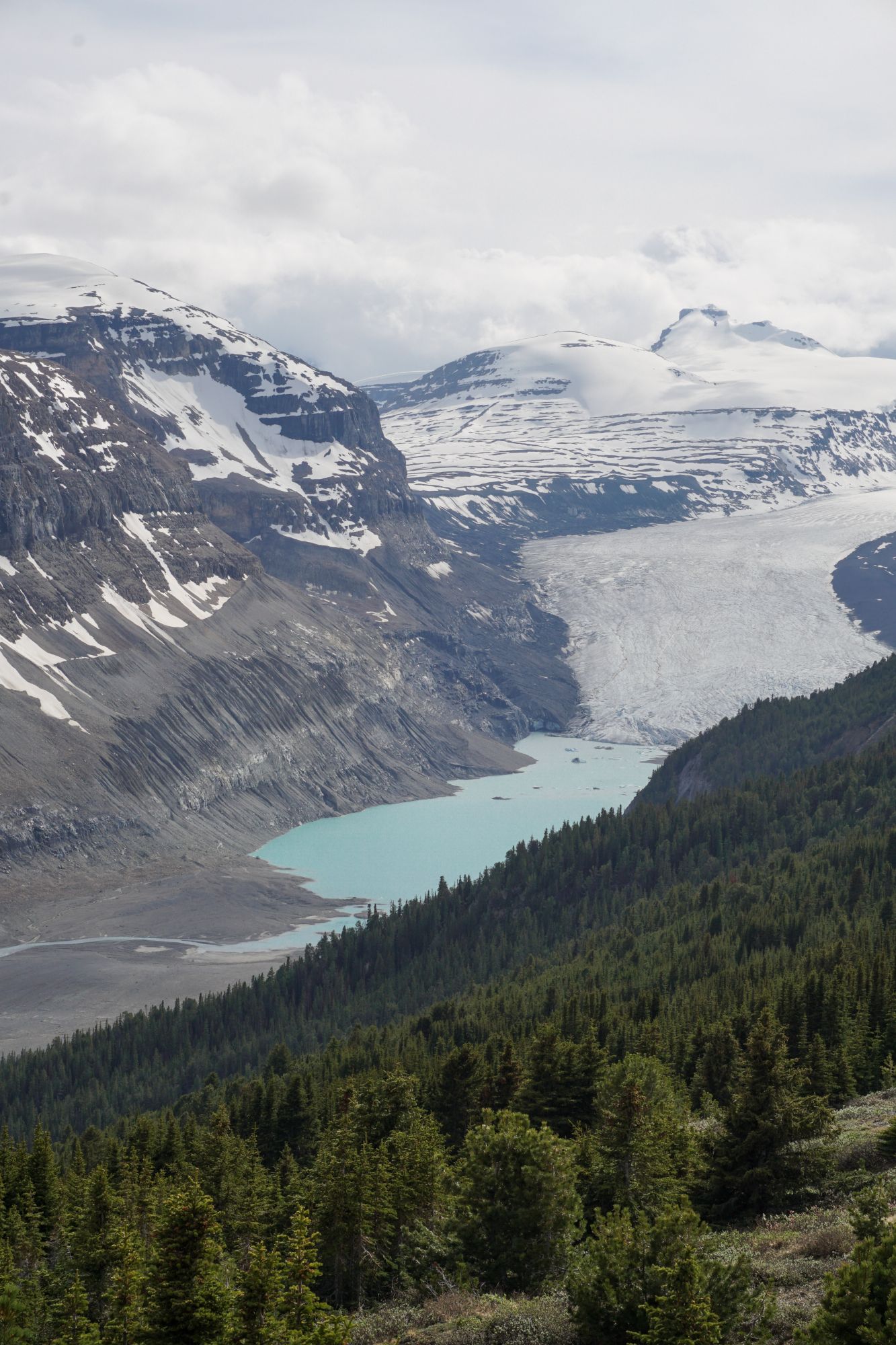 View of Saskatchewan Glacier from Parker Ridge in Banff National Park.