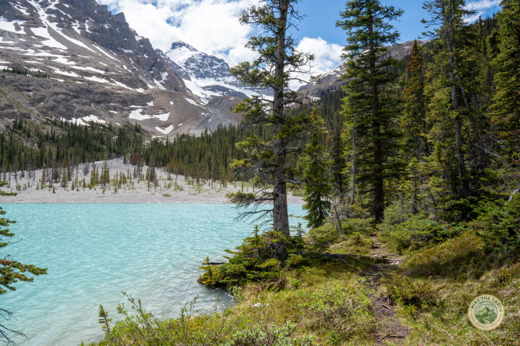 shoreline trail around Boundary Lake
