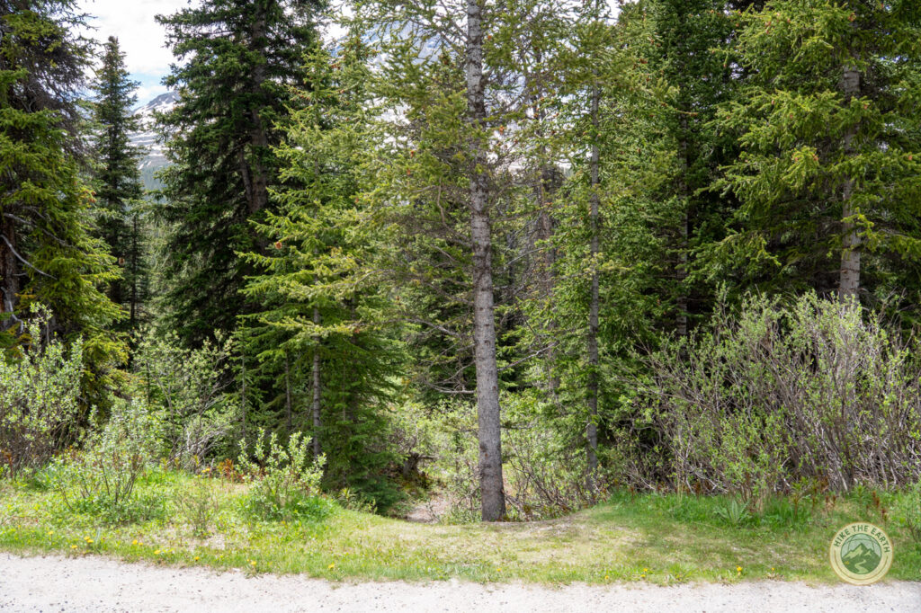unsigned trailhead junction on Boundary Lake trail