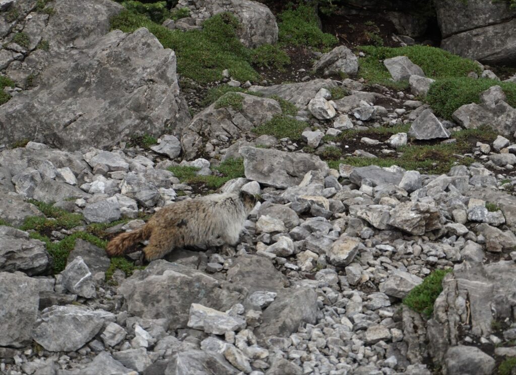 20250906 210827438924292643599111 1024x744