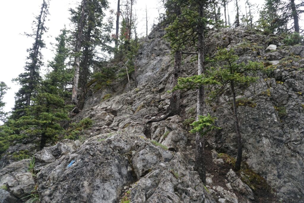 Dsc017084877184716559315121 1024x683