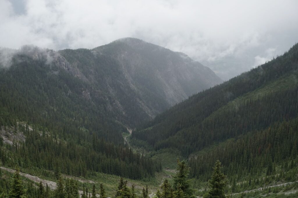 Dsc01734260875585015465006 1024x683