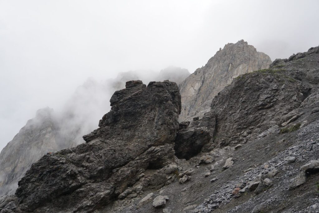 Dsc017687944316671998482795 1024x683