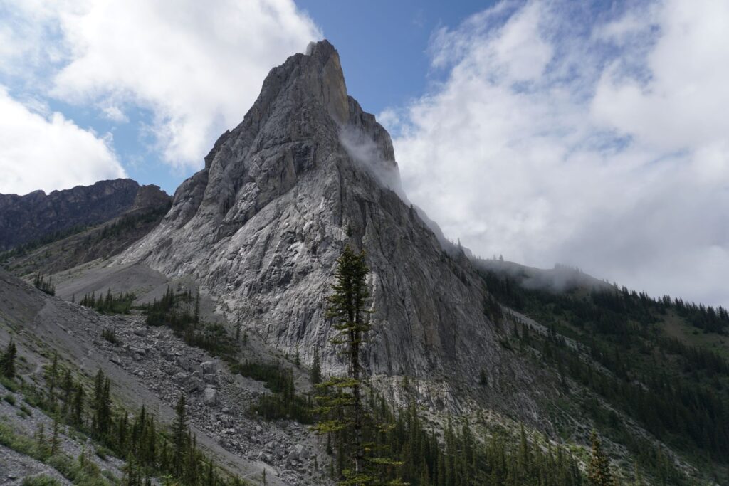 Dsc018163025488686965309891 1024x683