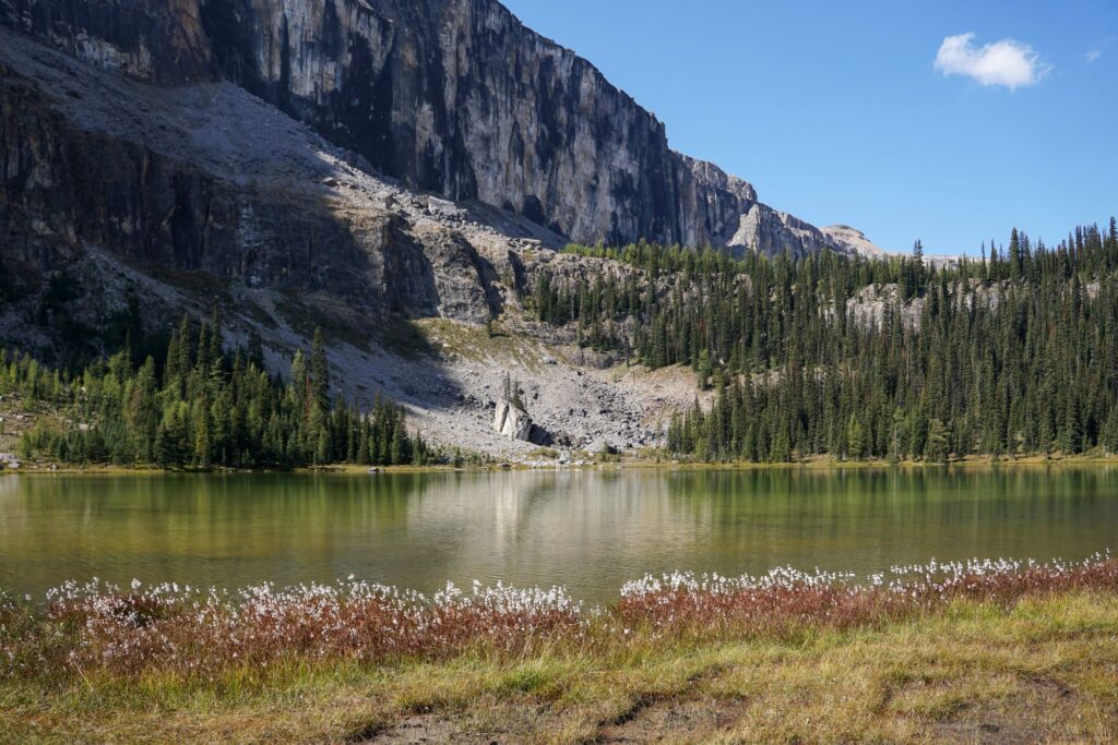 Ultimate Guide to Summiting Castle Mountain: Banff's Hidden Gem Dsc031355307580974594860524 1024x683