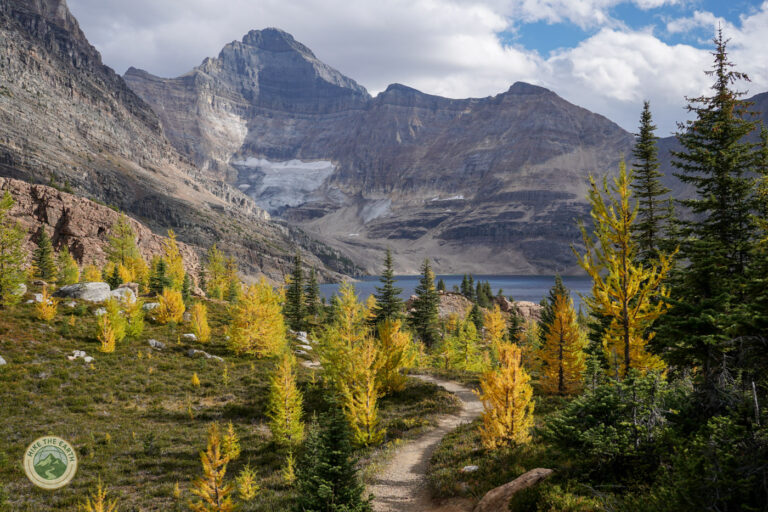 Lake McArthur: Ultimate O’Hara Larch Hike With No Bus Needed