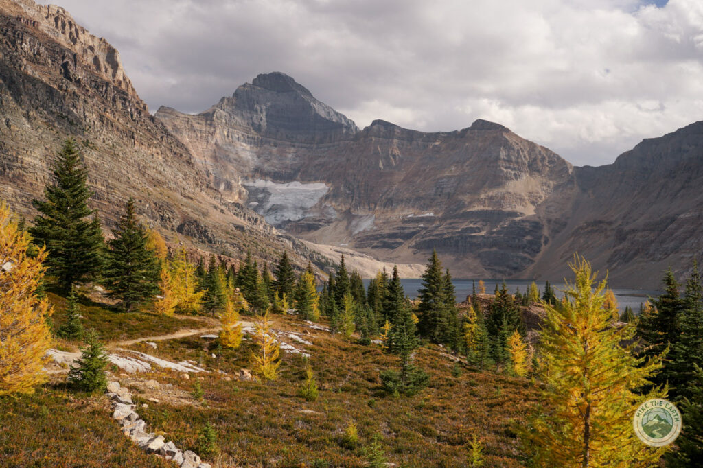 Lake McArthur surrounded by larch trees and mountain backdrop during larch season in Yoho National Park