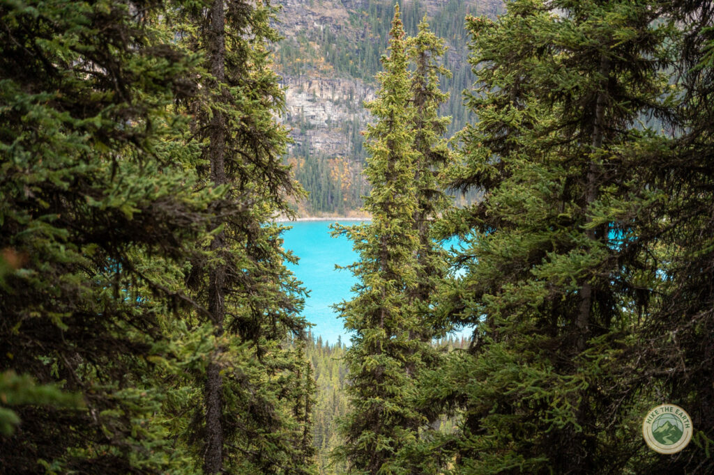 Moraine Lake visible through the pine trees on the Larch Valley trail Moraine Lake visible through pine trees on the Larch Valley trail Banff