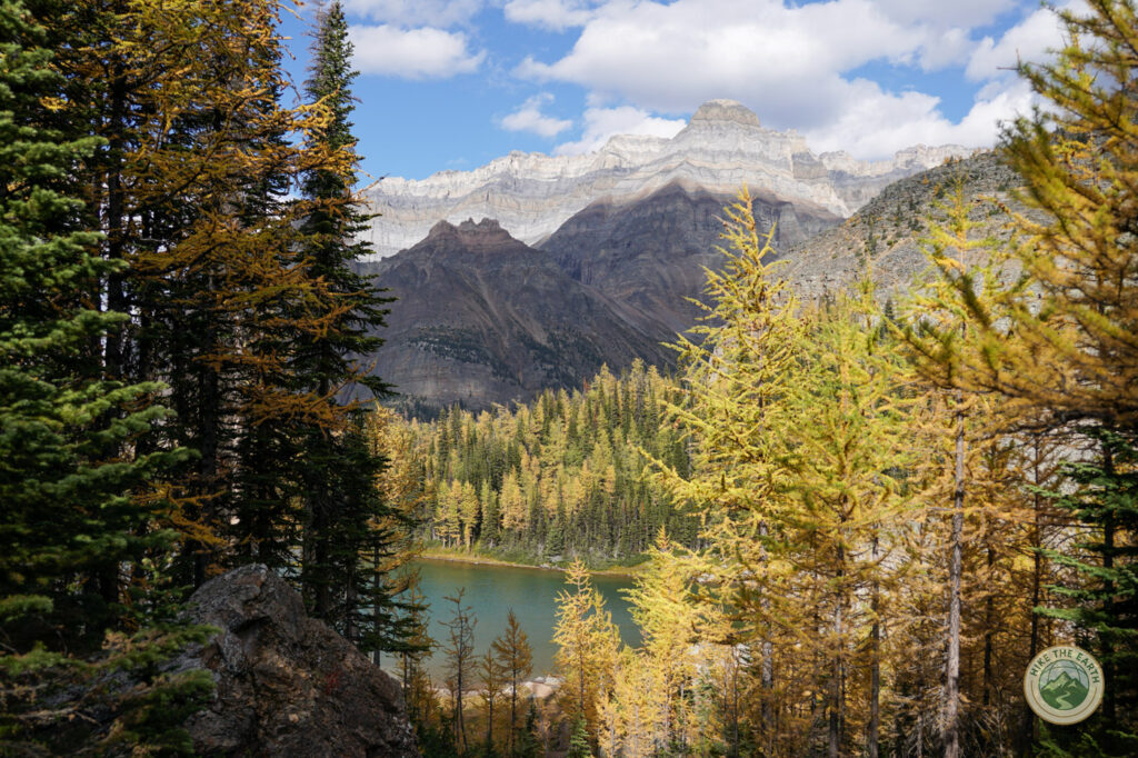 Schaffer Lake with surrounding mountains and golden larches in late September