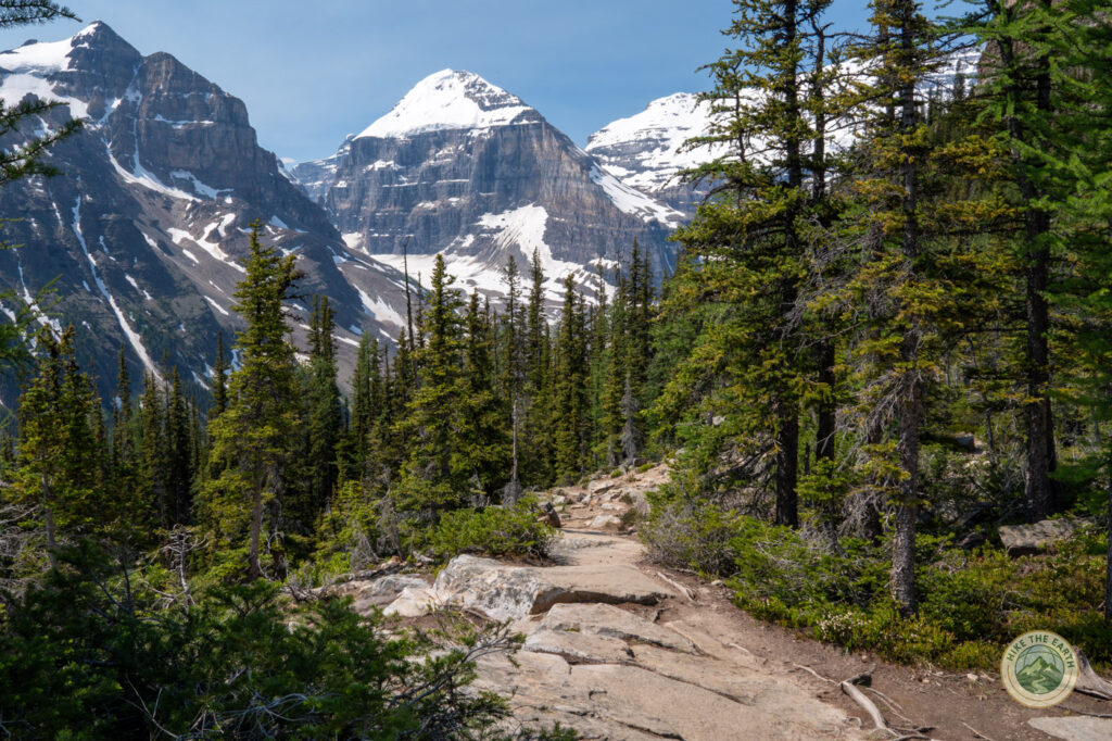Trail in the forest with glaciated peaks in the distance, trail is leading to the Plain Of Six Glaciers hike at Lake Louise