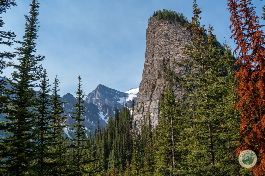 forest and mountain view on trail to Lake Agnes